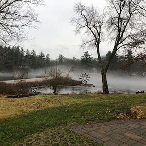 Meet your Posher, Cathy